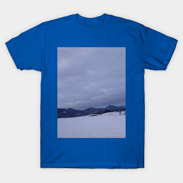 SNOW COVERED MOUNTAINS T-Shirt by ZOMBIES INCORPORATED 2022